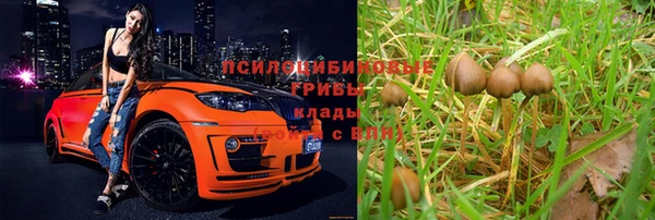 амфетамин Богородск