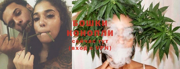прущая мука Богородицк