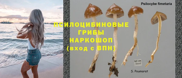 прущая мука Богородицк